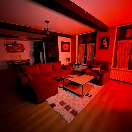 Cozy - Coeur De * Valenciennes