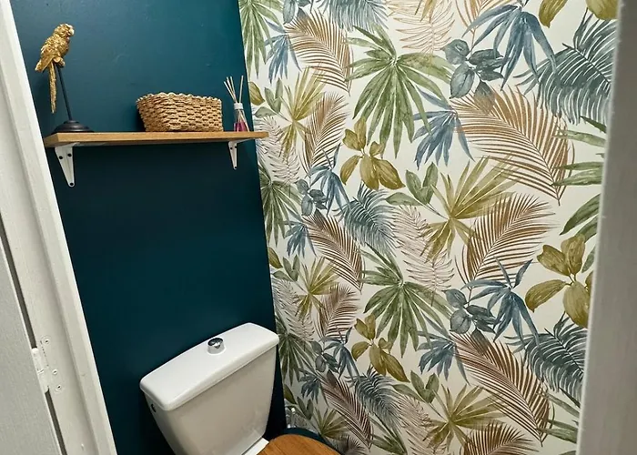 Cozy - Coeur De Appartamento *